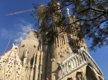 Glimpses of the Sagrada